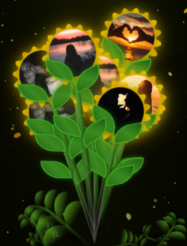 Flores Amarillas con Fotos